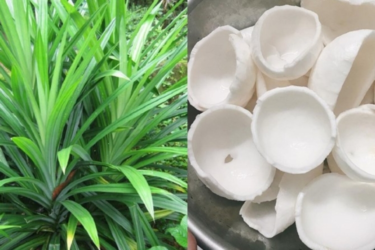 Nguyên liệu làm mứt dừa lá dứa