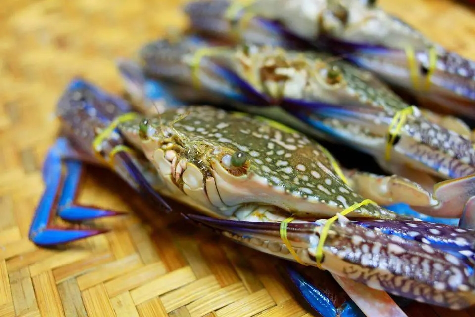 cách chọn ghẹ ngon hình 5