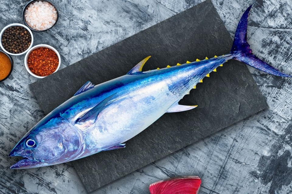 Cách kho cá ngừ ăn bún 2