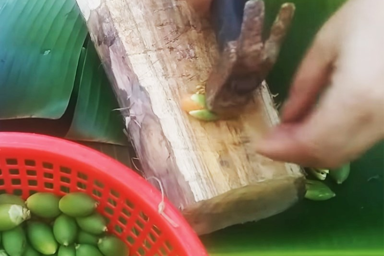 Cách làm mứt cau kiểng non vừa dẻo vừa mềm, hương vị thơm ngon vô cùng phù hợp mỗi dịp Tết đến xuân về hình 3