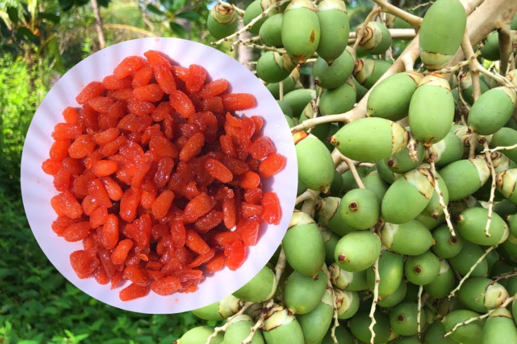 Cách làm mứt cau kiểng non vừa dẻo vừa mềm, hương vị thơm ngon vô cùng phù hợp mỗi dịp Tết đến xuân về hình 2