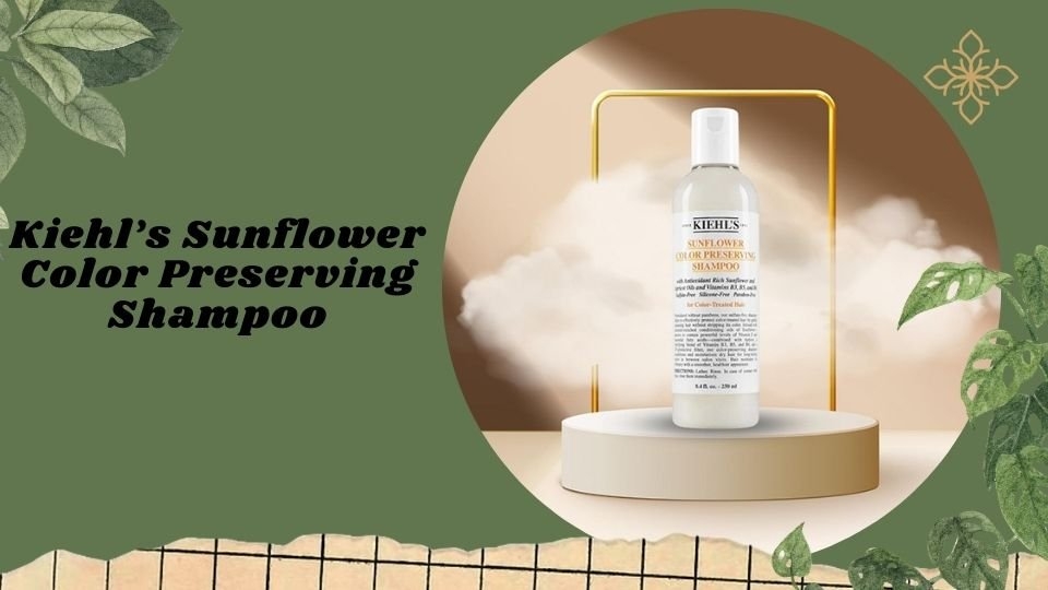 Kiehl’s Sunflower Color Preserving Shampoo là sản phẩm giúp bảo vệ và duy trì màu sắc tươi sáng cho tóc