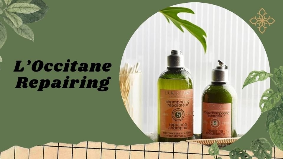 L’Occitane Repairing là sự kết hợp từ tinh dầu ngọc lan tây, cam ngọt, hoa oải hương, phong lữ và bạch chỉ