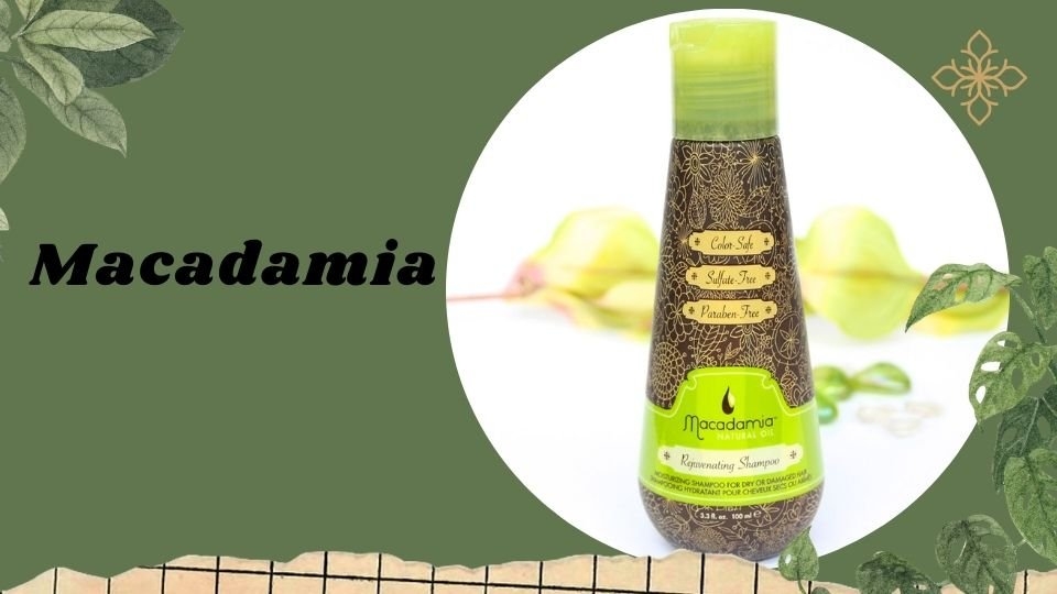 Macadamia được thiết kế để tăng cường độ ẩm và bảo vệ cho tất cả các loại tóc