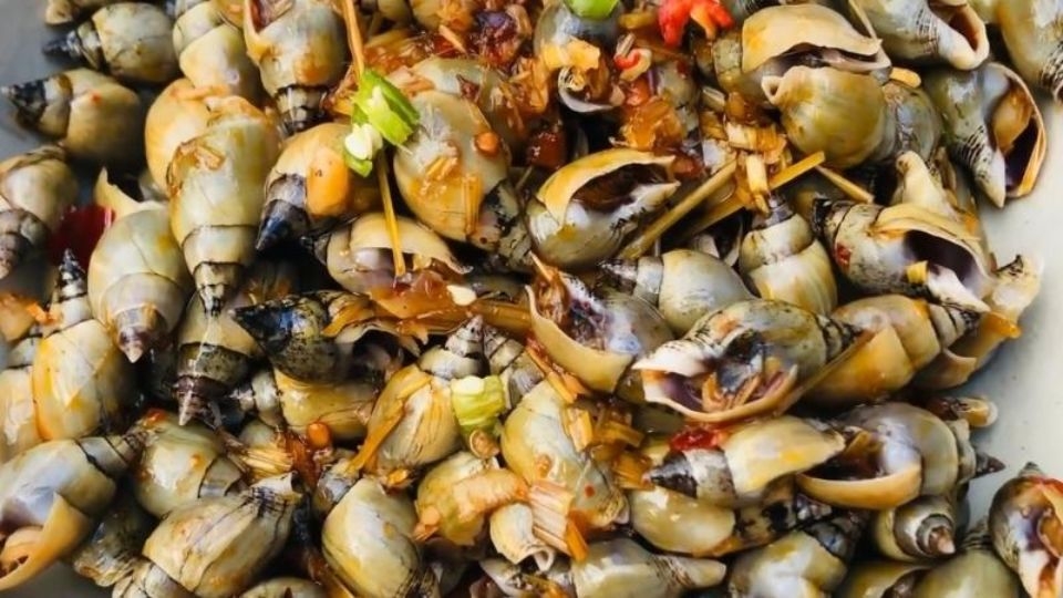 Ốc cà na xào sa tế