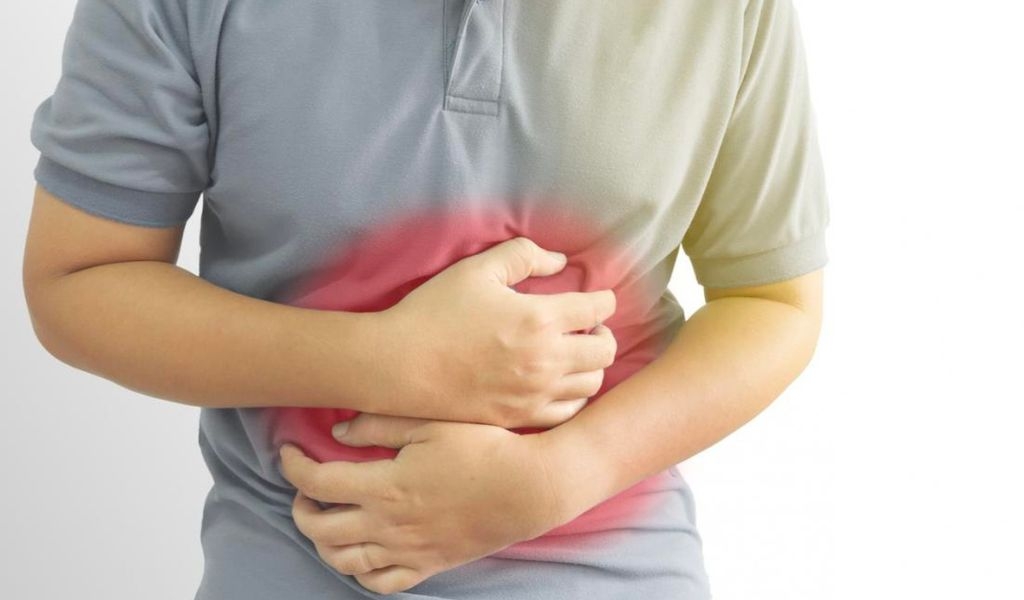Cùi dừa bao nhiêu calo? Ăn nhiều có béo không và có những lợi ích gì đối với sức khỏe? 4