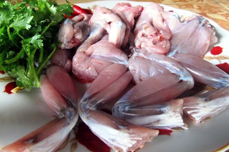 Cách làm ếch chiên lá lốt lạ miệng, giòn rụm thơm ngon không kém ngoài hàng - Hình 1