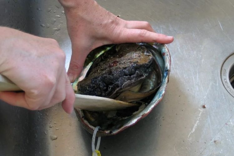 Dùng muỗng, vá để tách thịt bào ngư ra khỏi vỏ