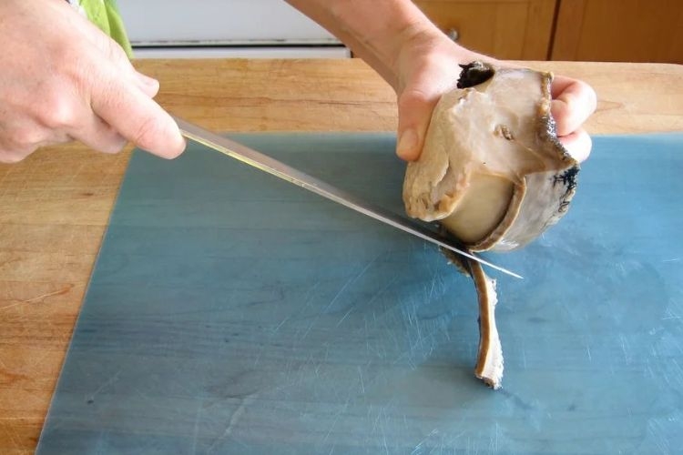Tách rời phần giác mút, thịt cồi khi cần thiết