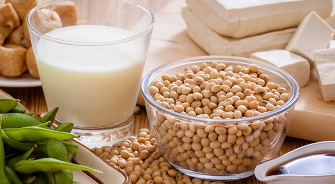 Uống sữa đậu nành có bị vô sinh không hình 1