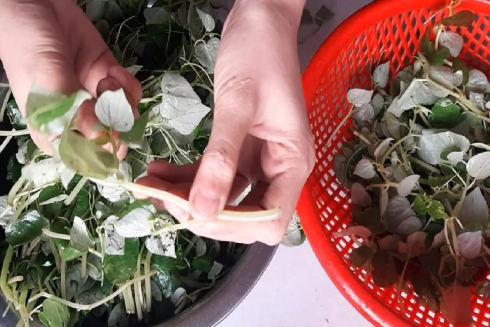 Rau càng cua xào tỏi 3