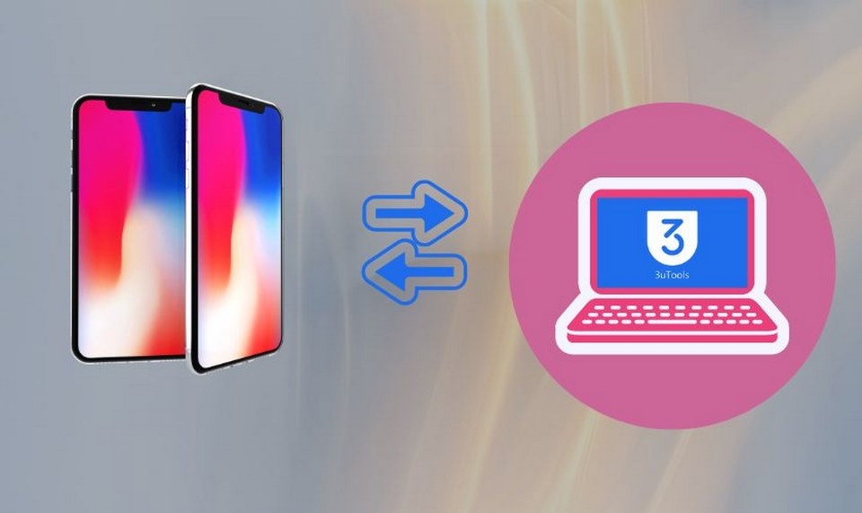 Những lưu ý quan trọng cần biết