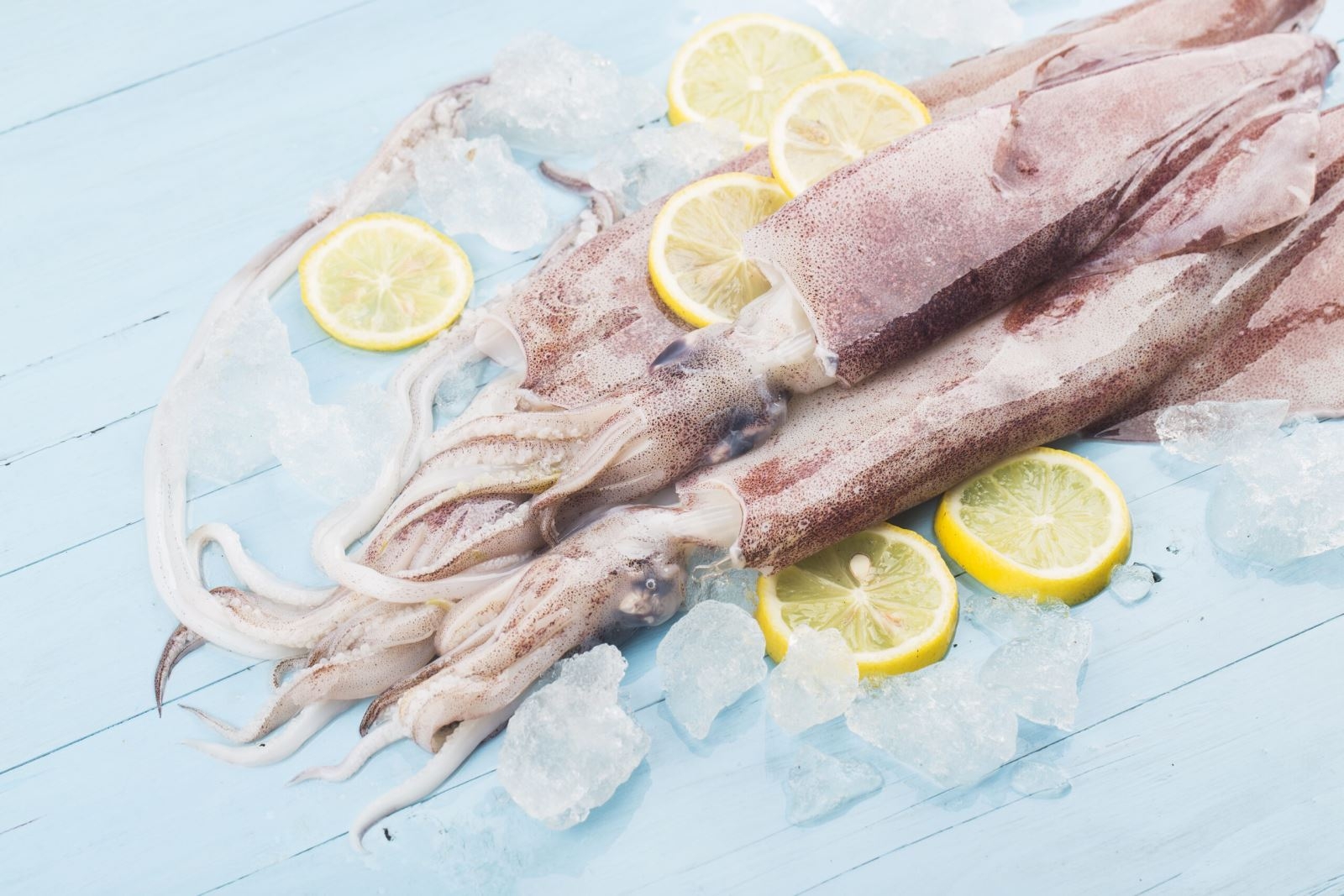 cách chọn mực hình 4