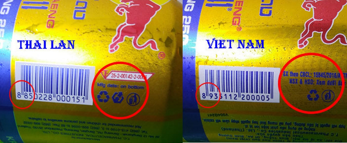 bò húc Việt - hình 4
