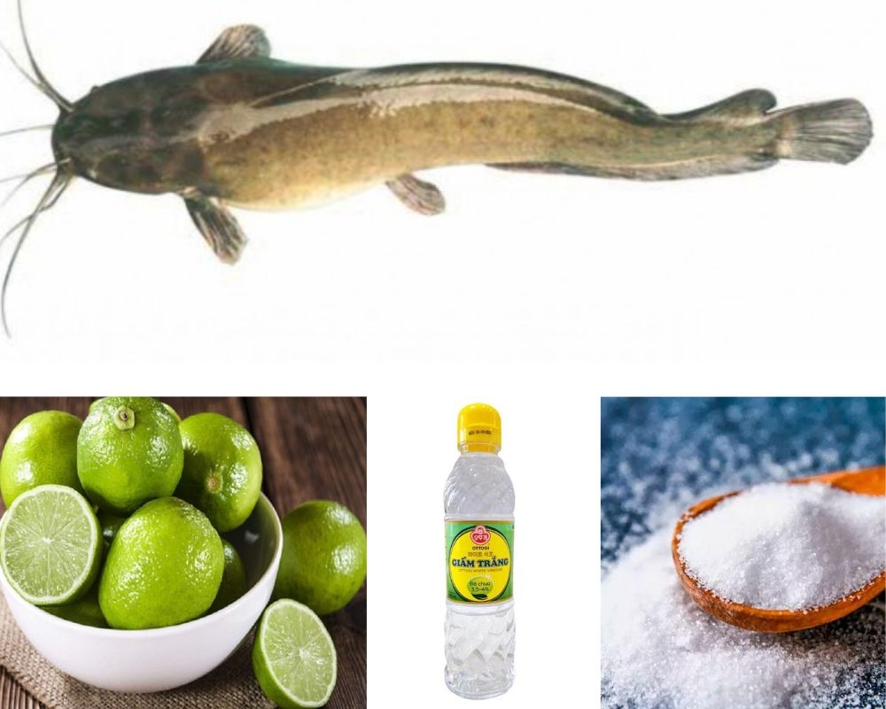 cháo cá trê cho bé 02