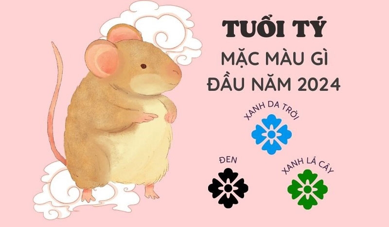 12 con giáp nên mặc màu gì đầu năm 2024 hình 3