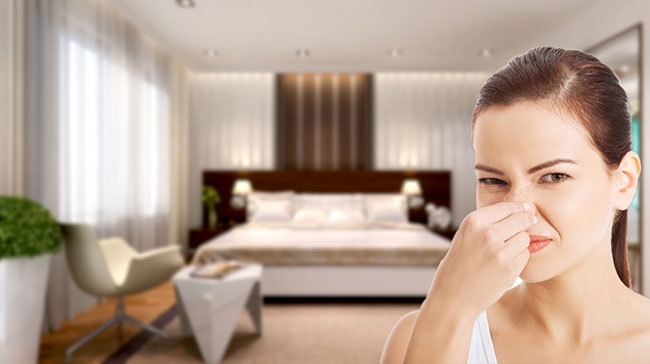 Cách khử mùi phòng ngủ hiệu quả, giúp bạn có phút giây thư giãn tuyệt vời và ngủ ngon hơn 2