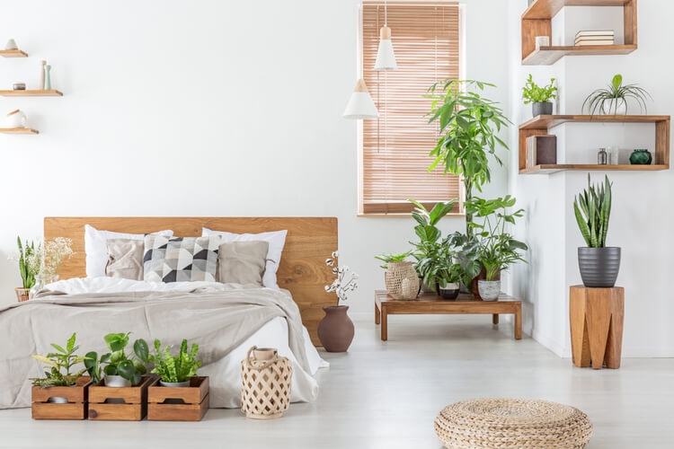 Cách khử mùi phòng ngủ hiệu quả, giúp bạn có phút giây thư giãn tuyệt vời và ngủ ngon hơn 3