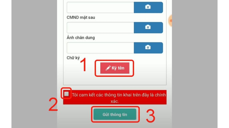 Bạn sẽ bắt đầu “Ký tên” và tích vào mục “Tôi cam kết các thông tin khai trên đây là chính xác”