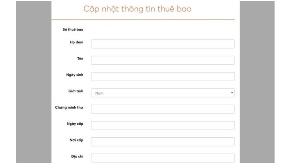 Bạn bắt đầu “Cập nhật thông tin” theo mẫu có sẵn.
