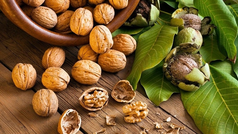 Bổ sung hạt óc chó vào chu trình ăn chay