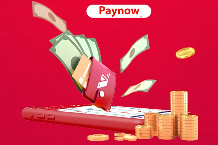 Ví trả sau Paynow (hình 18)