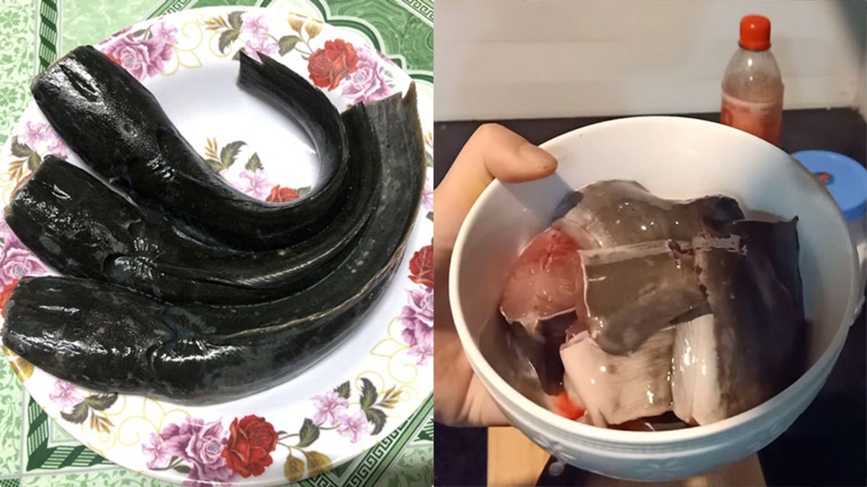Sơ chế sạch sẽ cá trê trước khi nấu