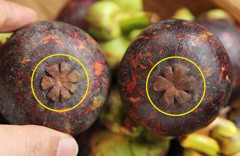 Cách chọn măng cụt ngon hình 1