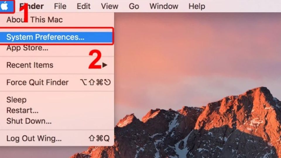 Chọn tiếp vào “Tùy chọn hệ thống/System Preferences”