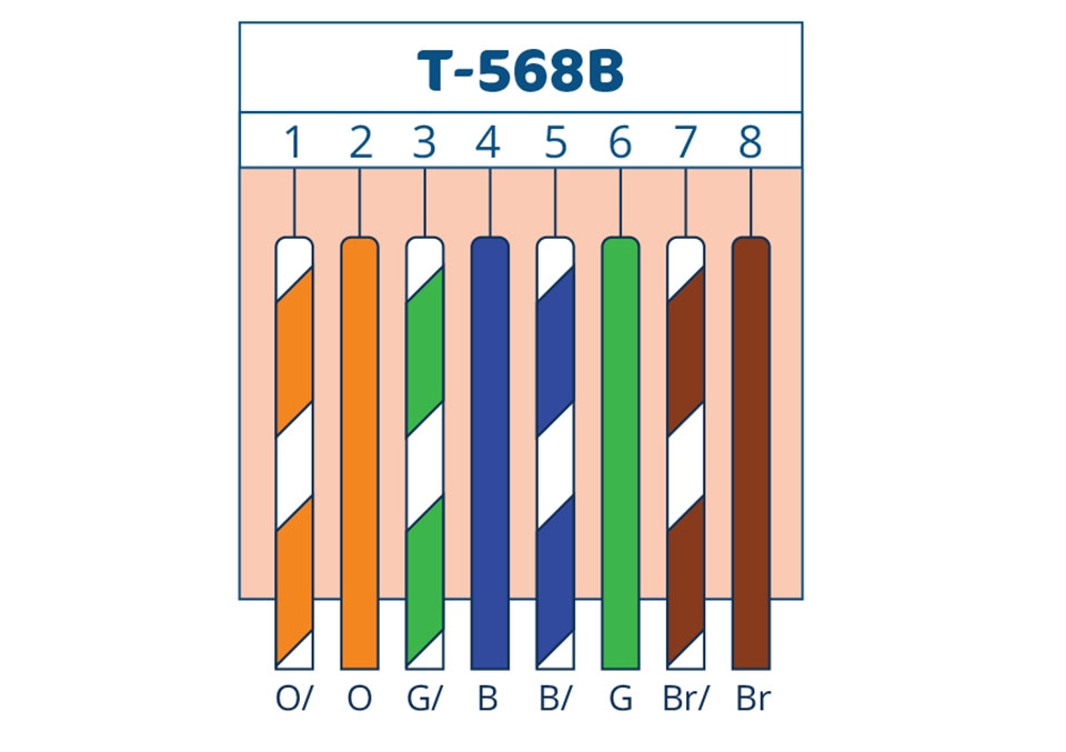 Bấm dây mạng 8 sợi - Ảnh 04