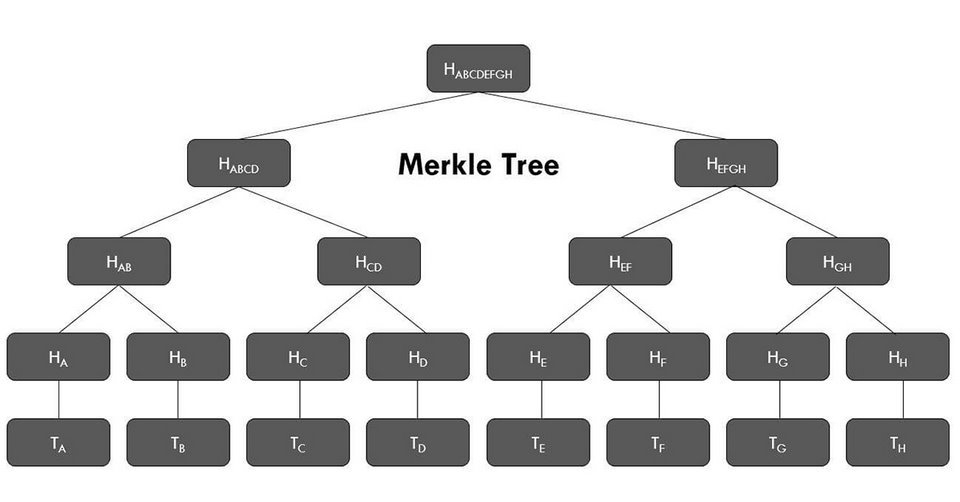 Sơ đồ thể hiện cách hoạt động của nền tảng