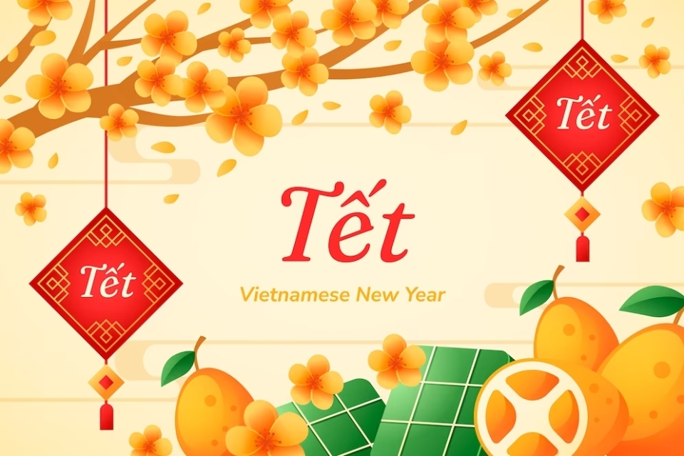 Tổng hợp background tết Việt Nam cho năm 2024 (2)