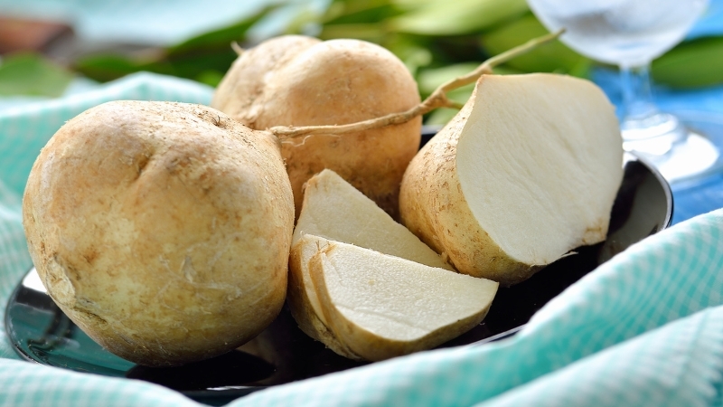 Chọn mua củ sắn (củ đậu)