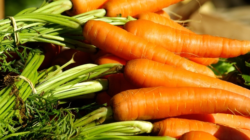 Chọn mua cà rốt