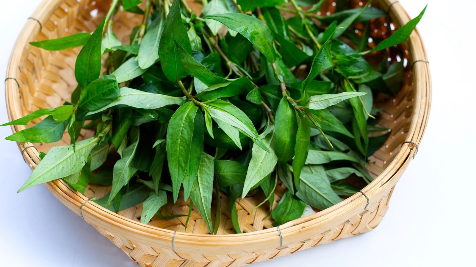 Chọn rau răm