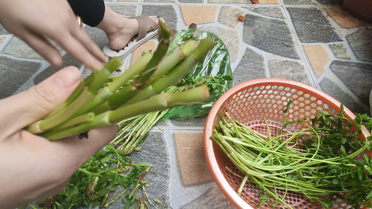 Loại bỏ gốc và tuốt rễ của rau cần