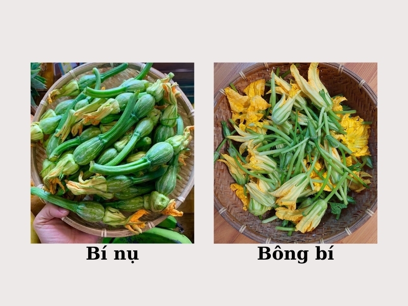 Bí nụ là gì?