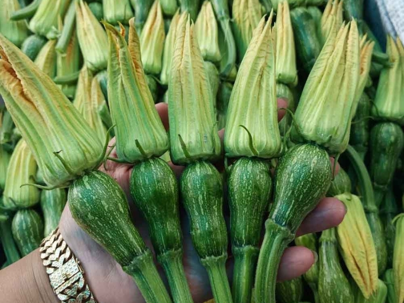 Mẹo chọn lựa bí nụ (bí bao tử) tươi ngon