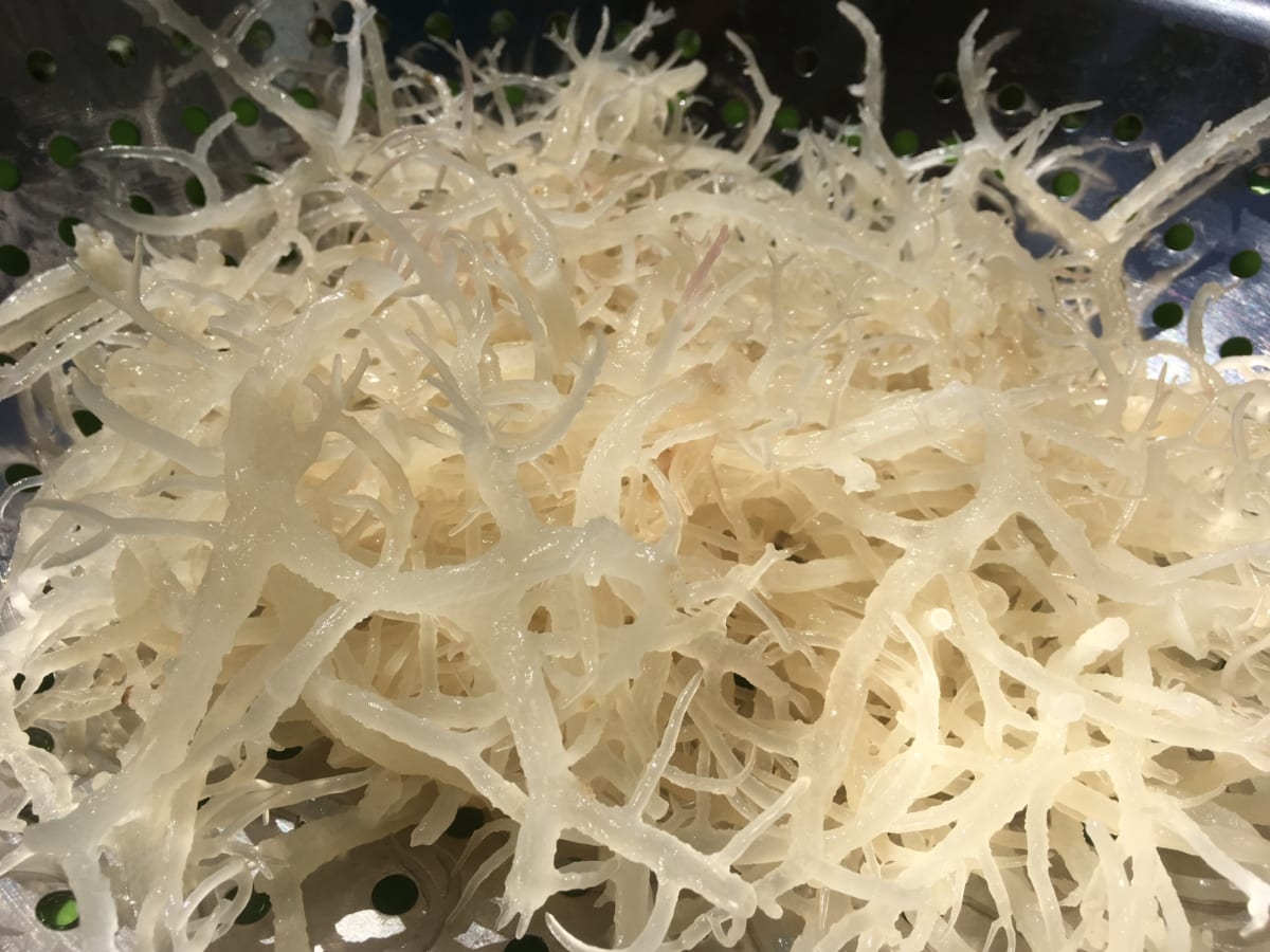 Chọn rong sụn biển ở những nơi uy tín