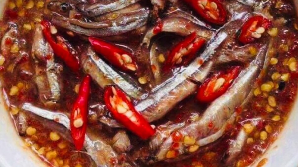 Mắm cá cơm là một loại gia vị và nước chấm ngon cho các món ăn Việt Nam