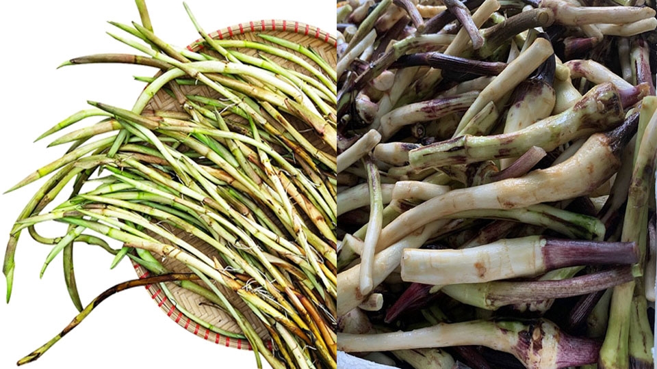Ngó khoai