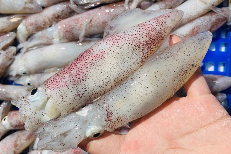 Cách nướng mực bằng nồi chiên không dầu thơm ngon, hấp dẫn mà giàu chất dinh dưỡng, cả nhà ai cũng mê mẩn hình 2