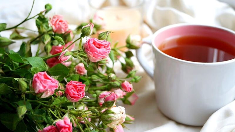Trà hoa hồng là gì? Cách pha trà hoa hồng đúng cách bồi dưỡng cho sức khỏe chị em 2
