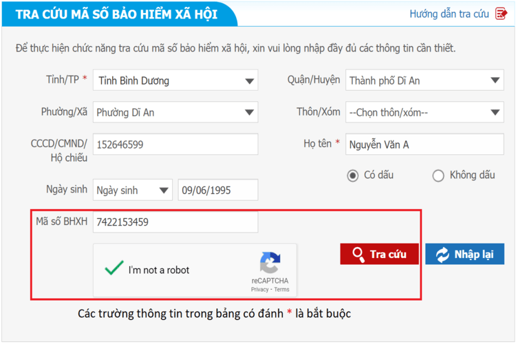 Điền đầy đủ các thông tin để tiến hành tra cứu
