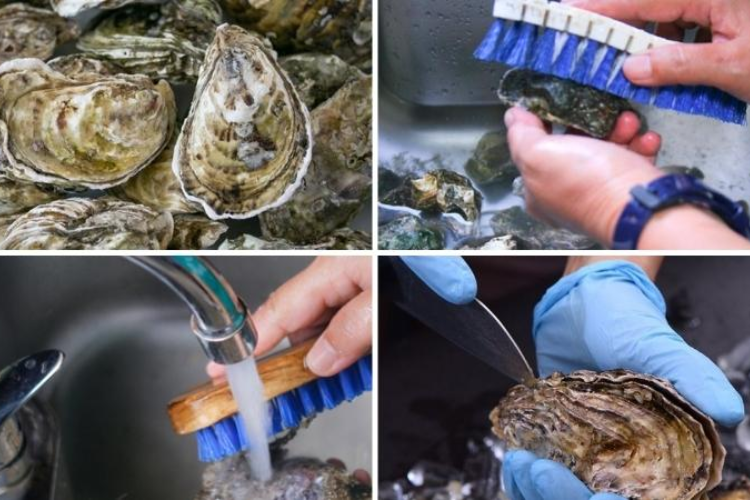 Cách làm hàu nướng phô mai đơn giản, dễ làm, vừa tiết kiệm lại ngon như đang được ăn ở ngoài hàng hình 2
