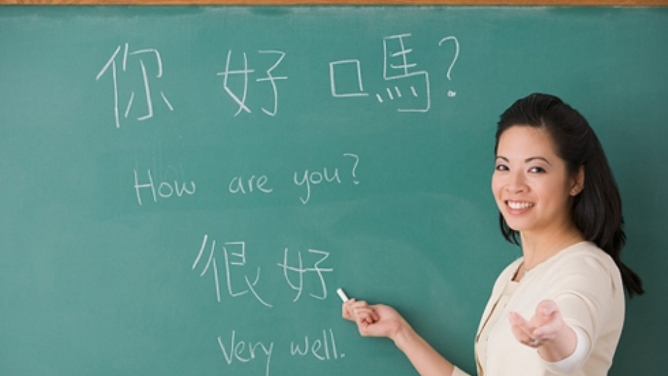 Nhóm ngành về nhân văn