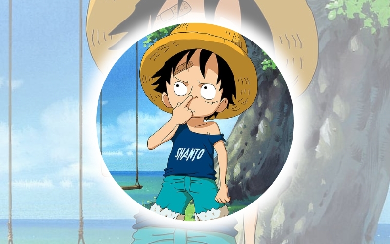 Tổng hợp avatar One Piece hài hước, đáng yêu 4
