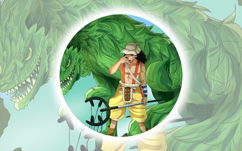Tổng hợp avatar One Piece theo các thành viên băng Mũ Rơm 11