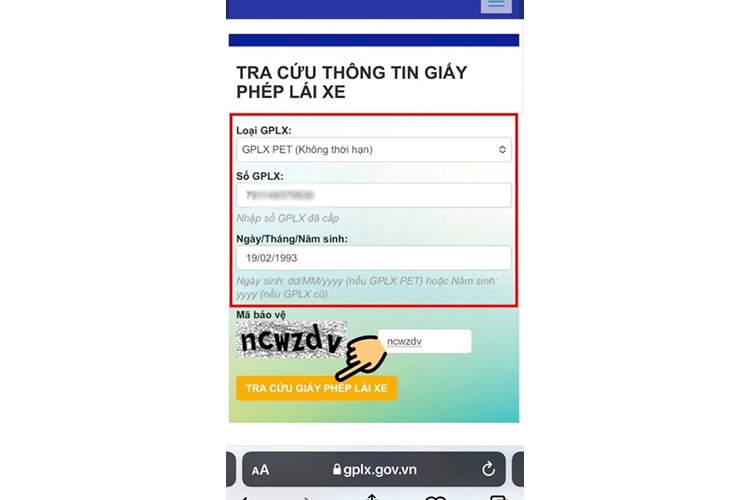 tra cứu giấy phép lái xe theo tên (hình 5)