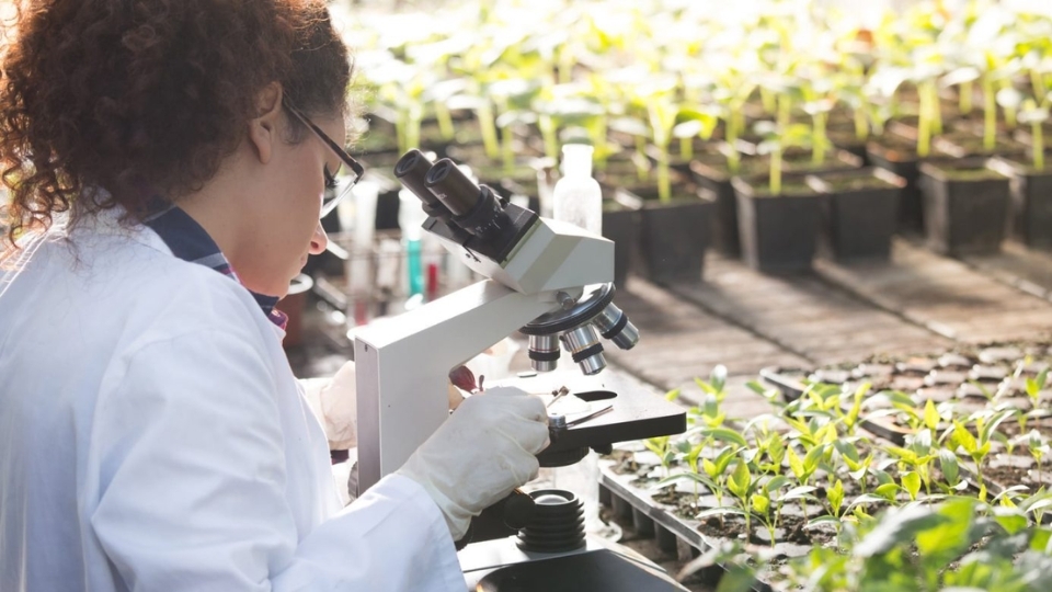 Nhóm ngành Khoa học tự nhiên